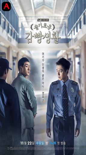 Prison Playbook