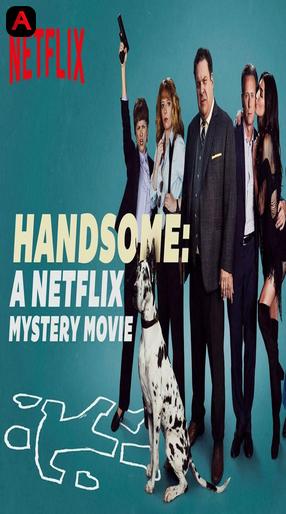 Handsome: A Netflix Mystery Movie