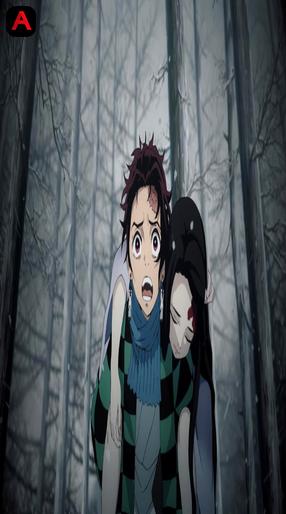 Demon Slayer: Brother and Sister`s Bond/Demon Slayer: Kimetsu no Yaiba Sibling`s Bond